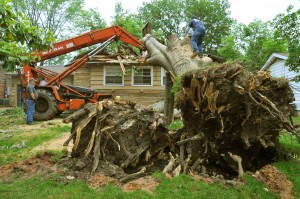 Fallen Tree On House, Sadly It Was Too Late For Preventative Measures, Don't Let This Be You!