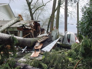 Fallen tree with property damage