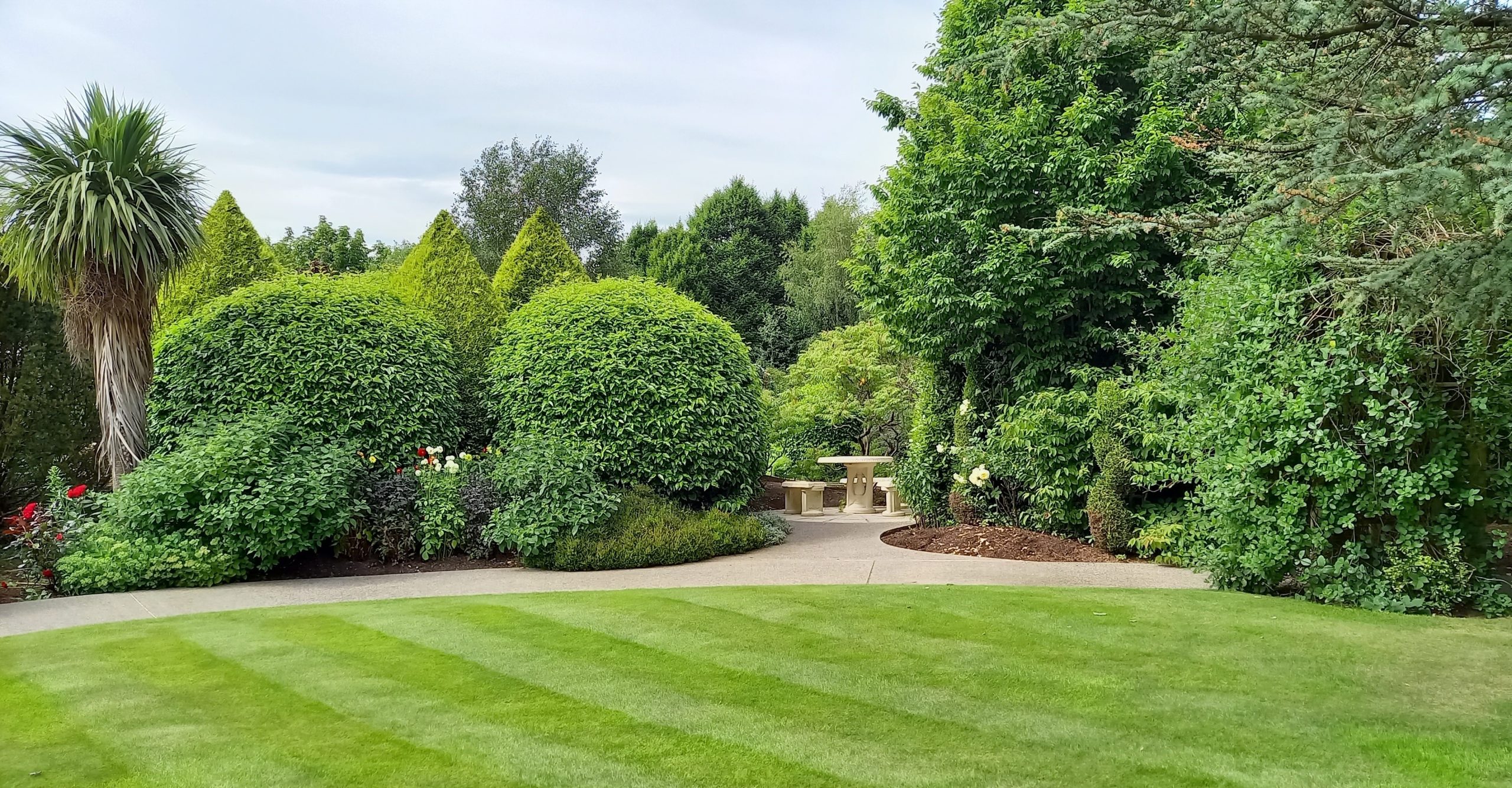 Why Summer Tree Care Matters More Than You Think